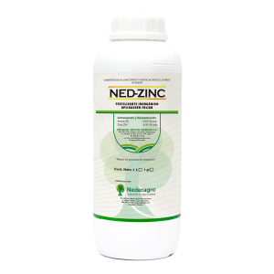 NED ZINC