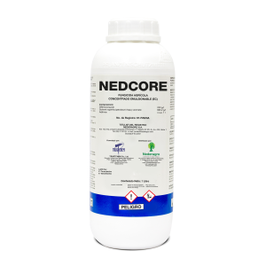 NEDCORE