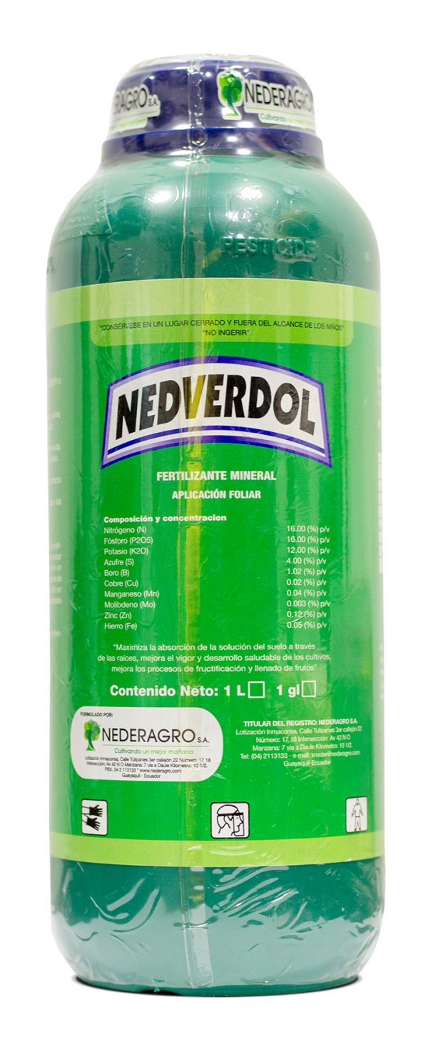 NEDVERDOL - Image 2