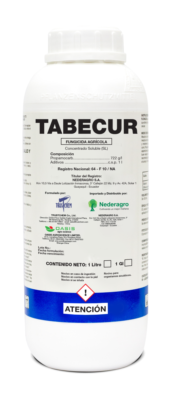 TABECUR - Image 2