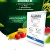 FLUDOX - Image 4