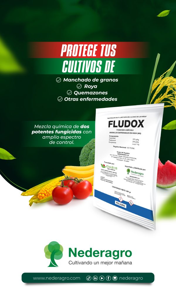 FLUDOX - Image 4