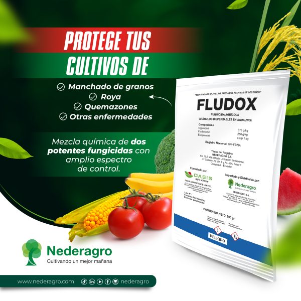 FLUDOX - Image 3