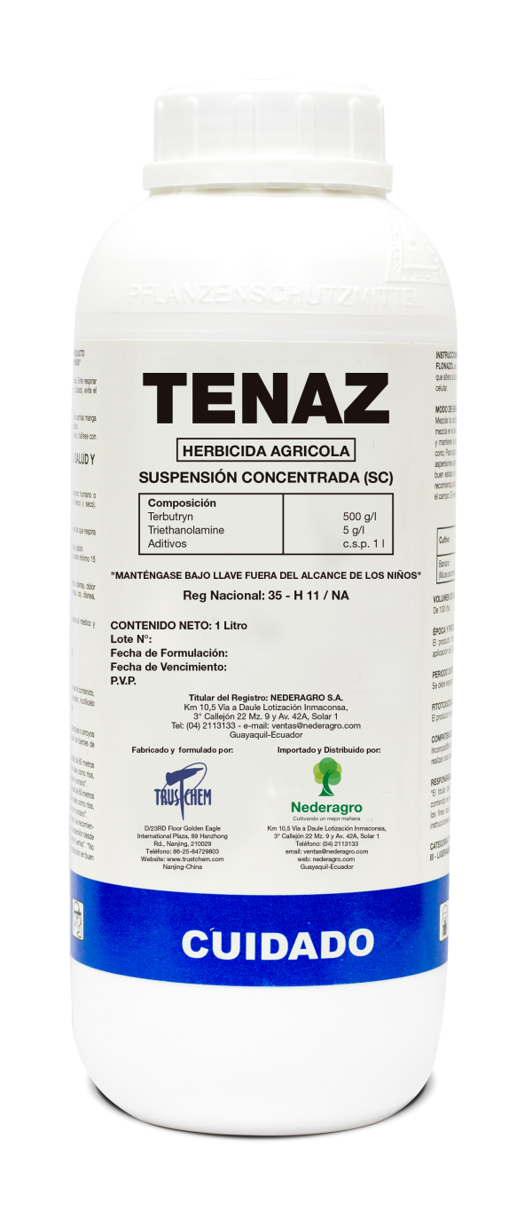 TENAZ - Image 2