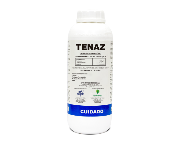 TENAZ