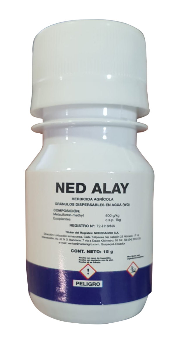 NED ALAY - Image 2