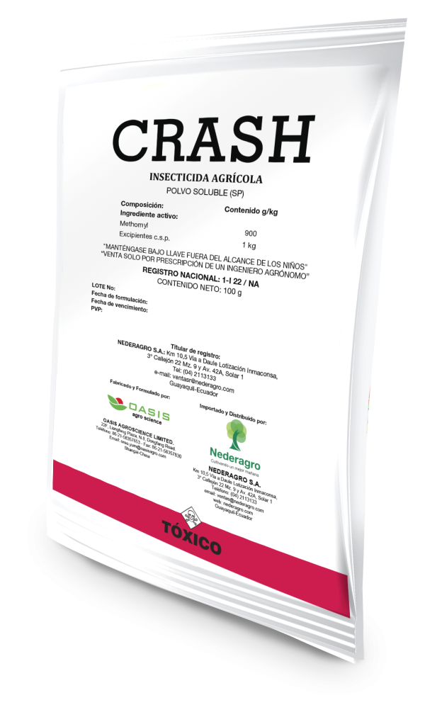 CRASH - Image 2