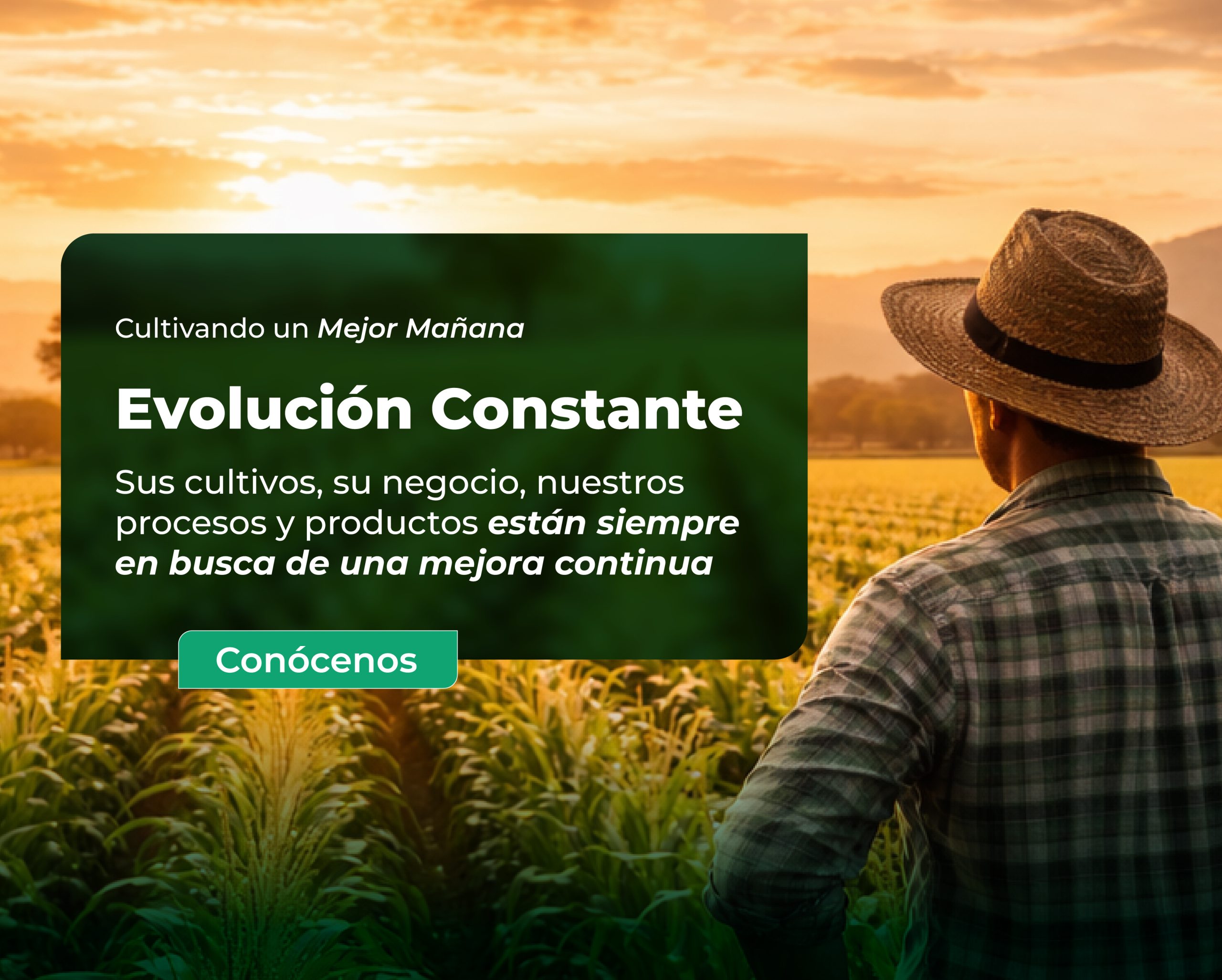 Baner cel_Mesa de trabajo 1