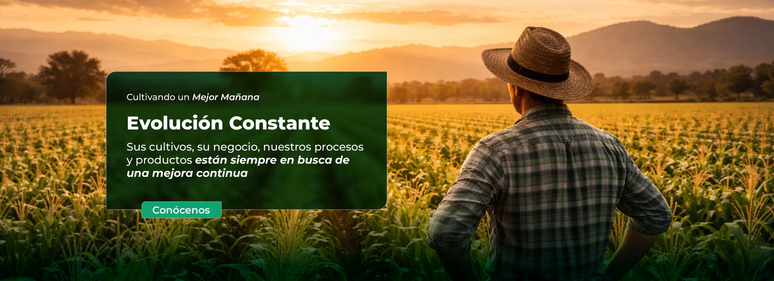 Baner_Mesa de trabajo 1